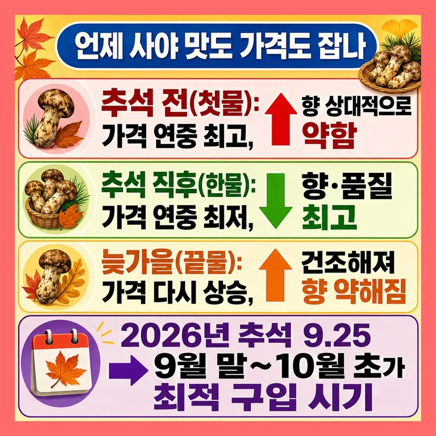 추석 직후가 답이다 — 시기별 가격·품질 비교