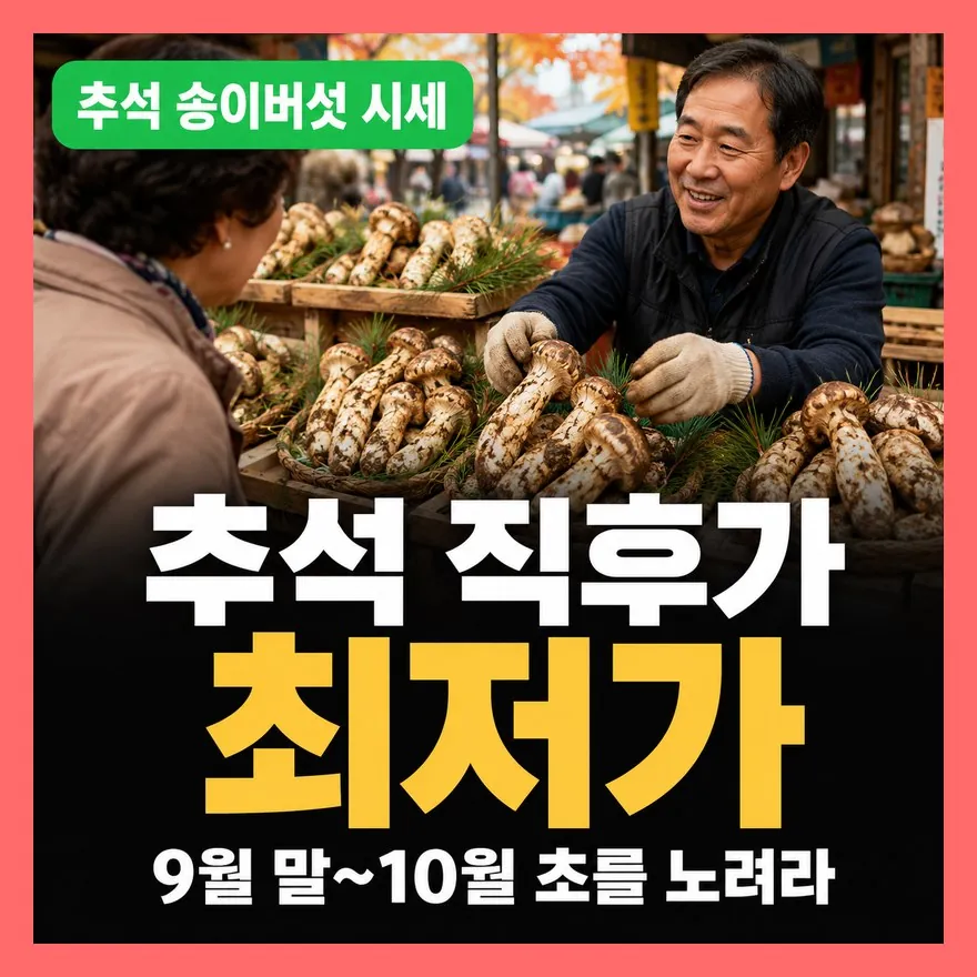 송이버섯 국산 vs 수입산 시세 차이, 추석 구입·등급 기준 총정리