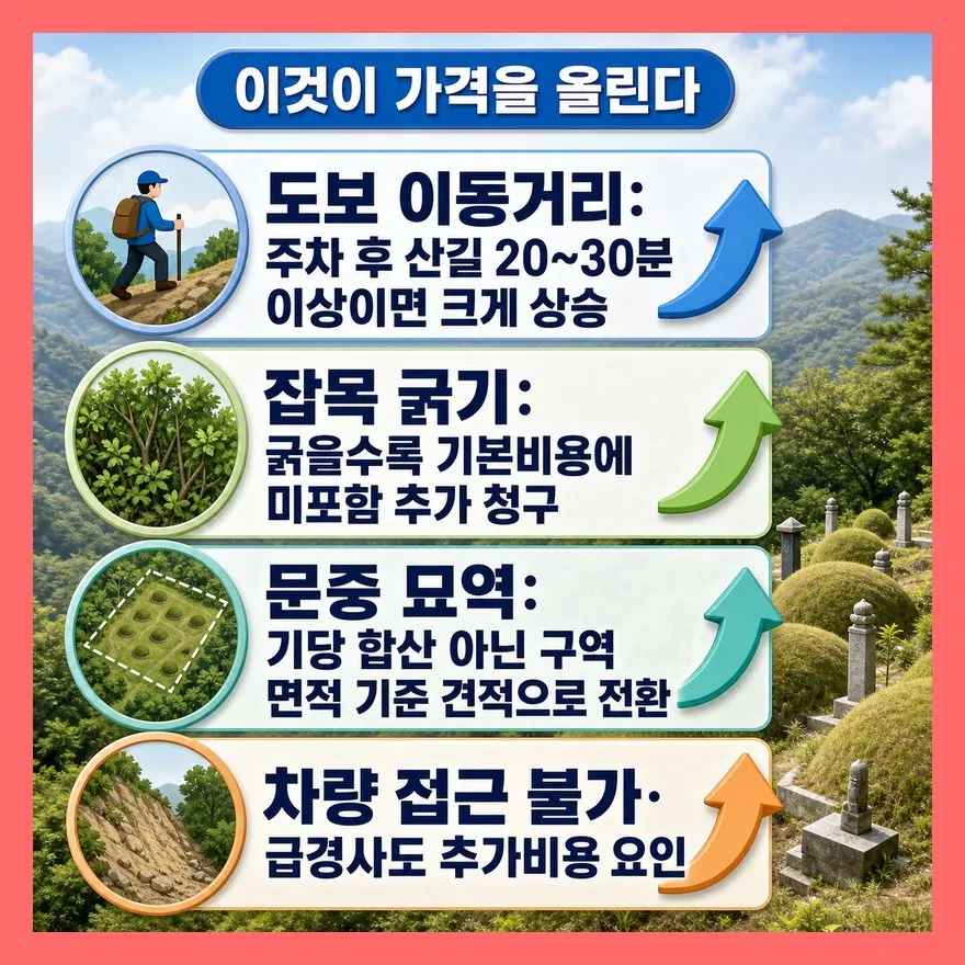가격을 바꾸는 현장 조건 — 봉분 수보다 이것이 더 크다