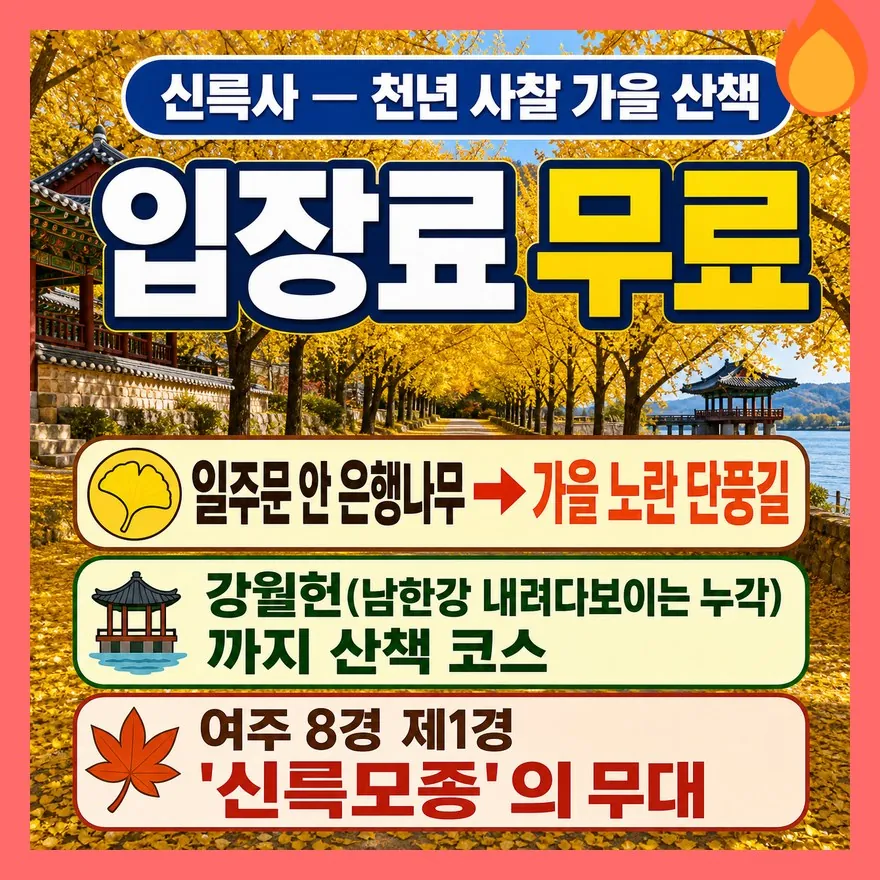 신륵사 — 은행나무 단풍에 강월헌 산책까지